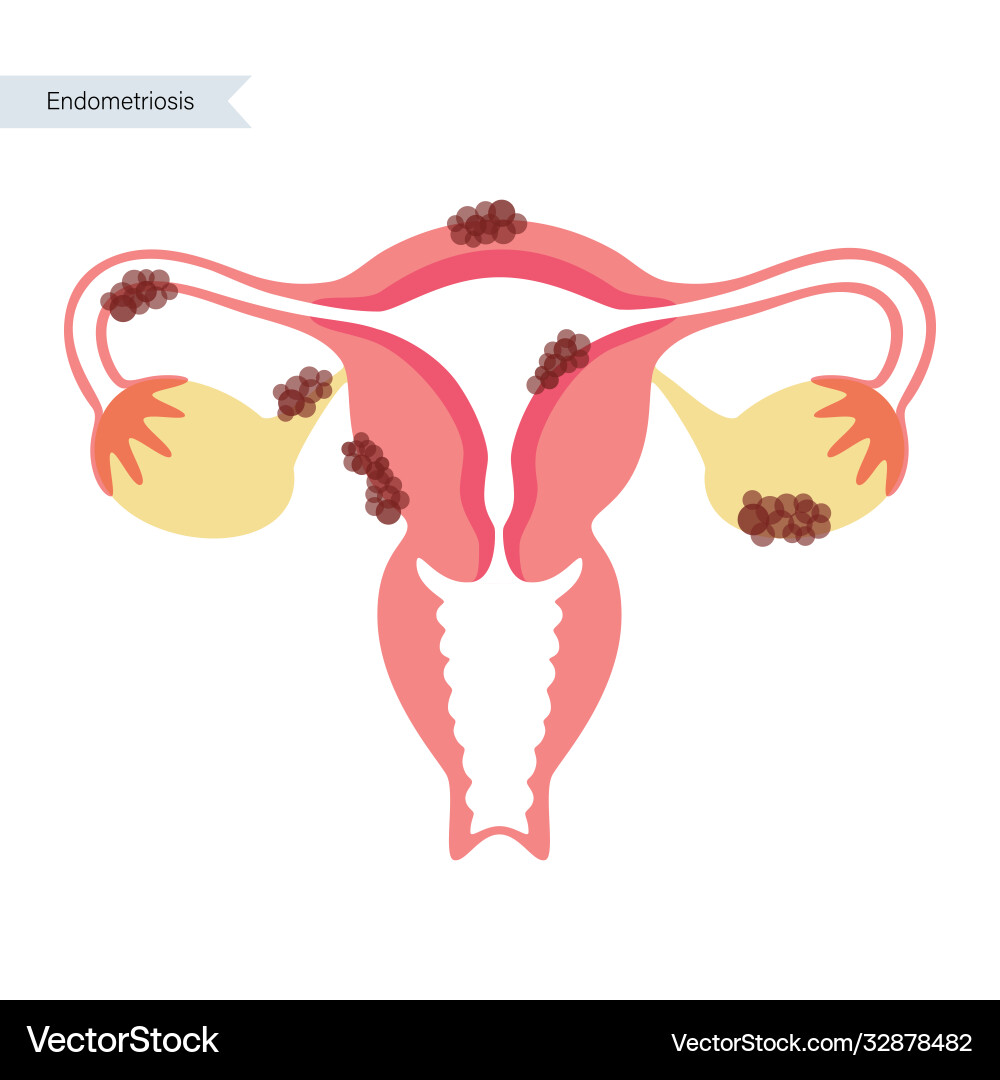 Human fertility concept Human fertility concept Vector Image