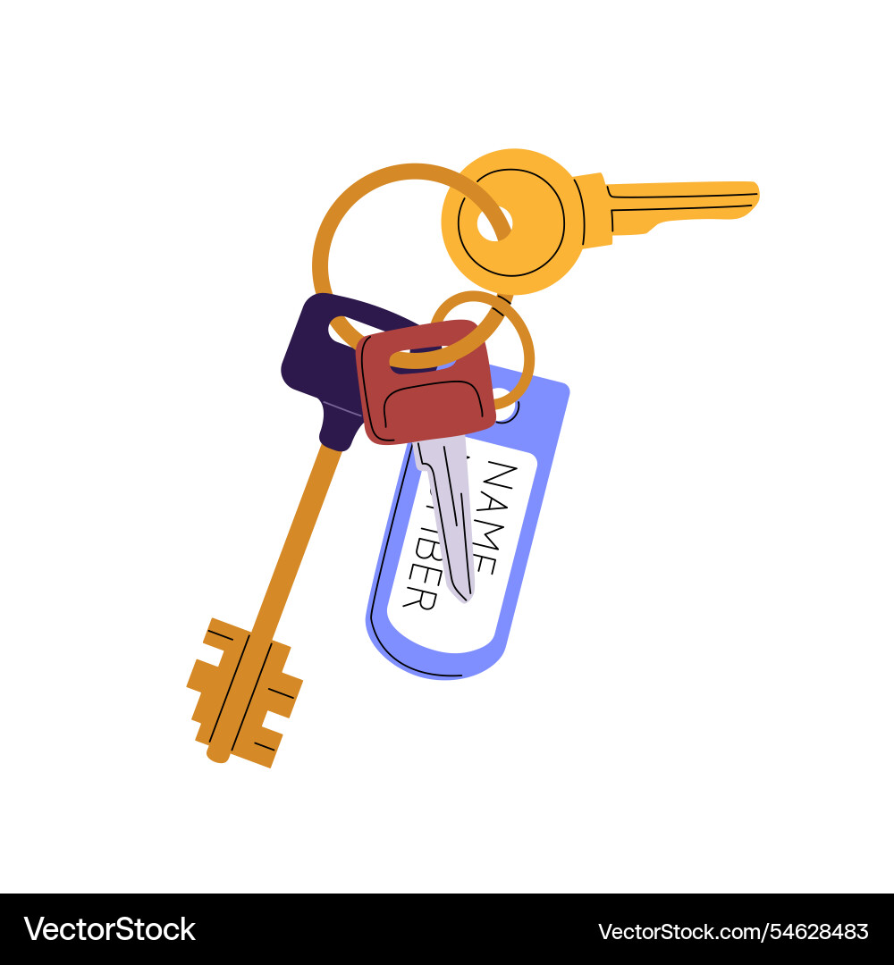 Bunch of different keys with keychain keyring Bunch of different keys with keychain keyring vector image
