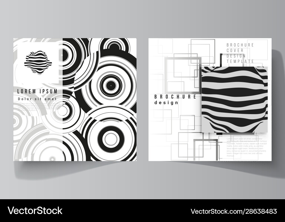Minimal layout two square format Minimal layout two square format vector image