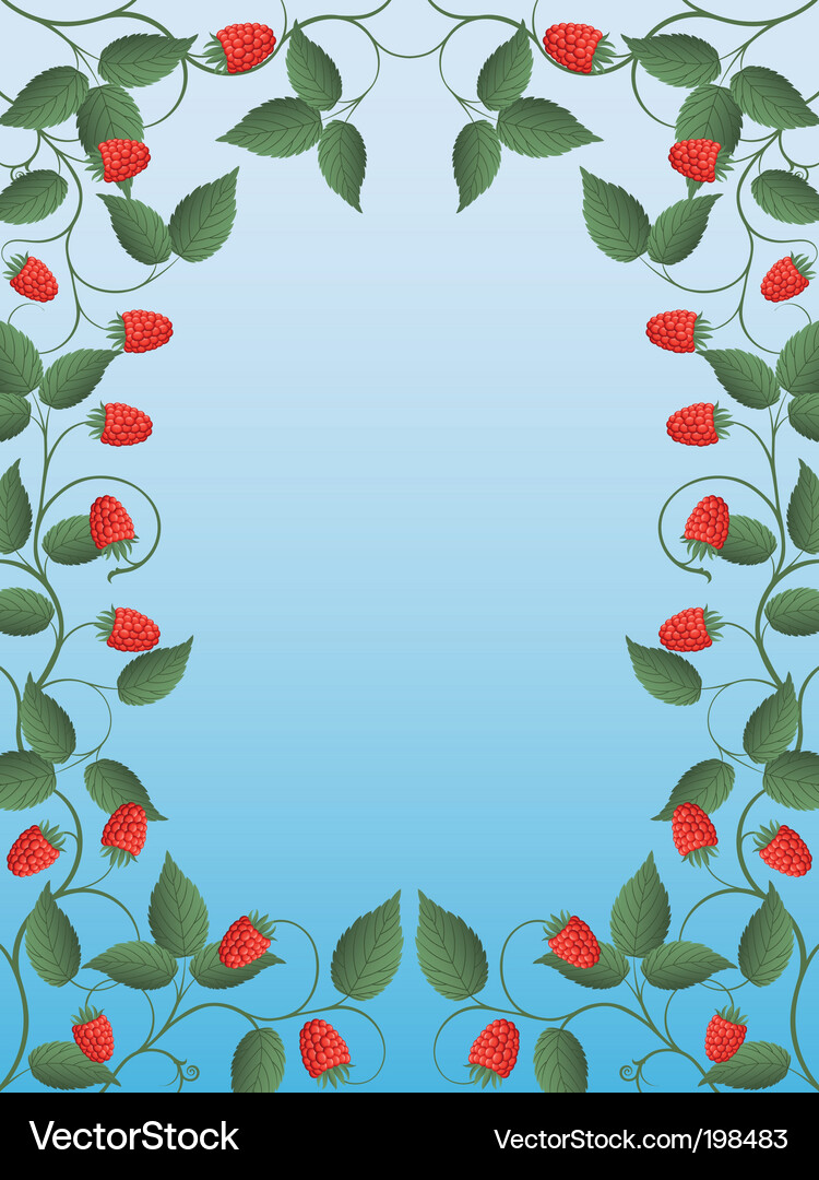 Raspberry Vector Image