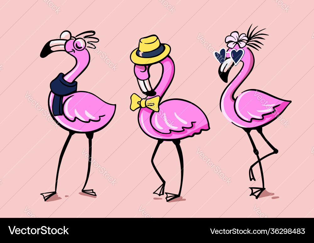 Three flamingos stand in fashion accessories Three flamingos stand in fashion accessories vector image