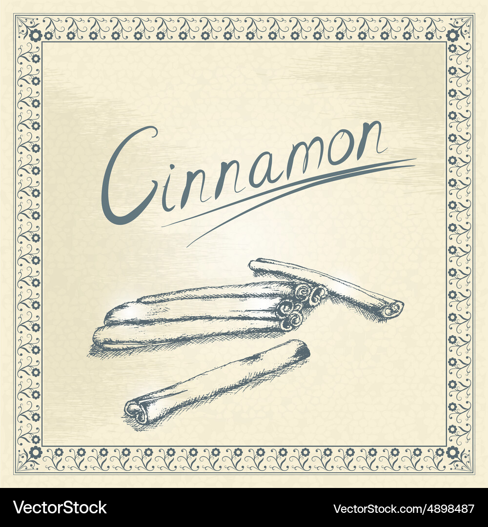 Cinnamon Label (4898487) – Royalty-Free Vector | VectorStock