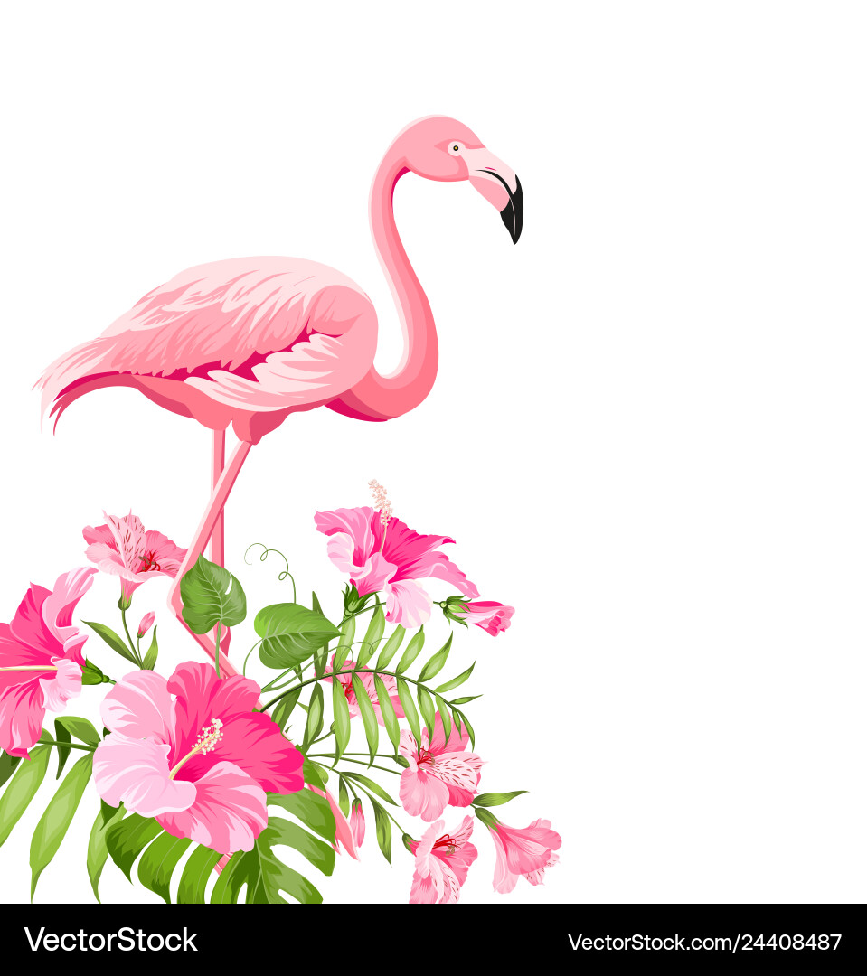 Tropical Flamingo with Plumeria vector image