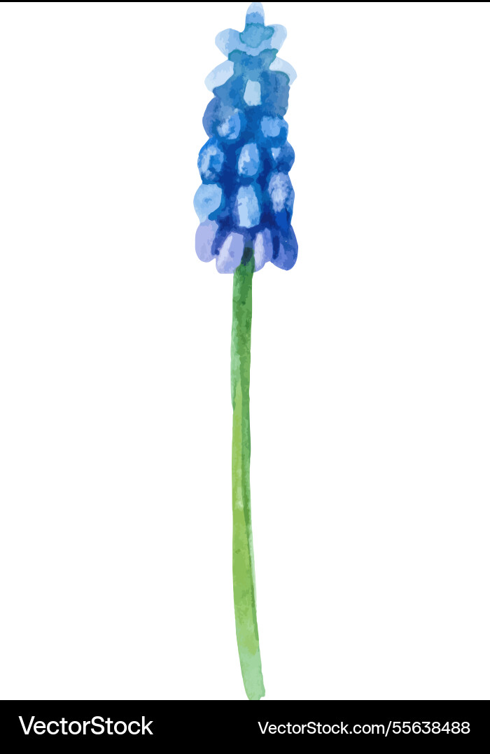 Aquarell bemalte Blume Hand gezogen Aquarell bemalte Blume Hand gezogen vektorbild
