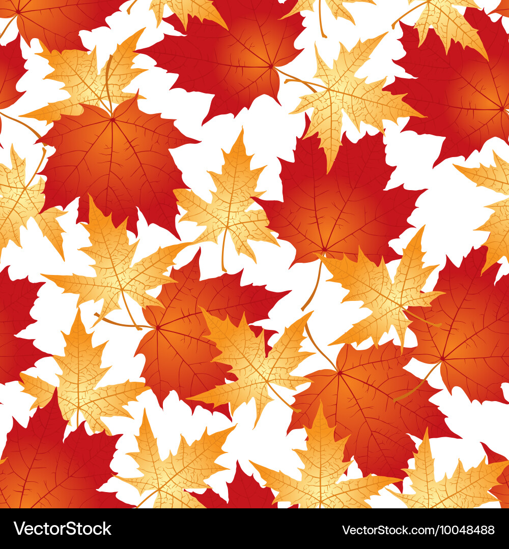 Maple Leaf Pattern - Seamless vector image