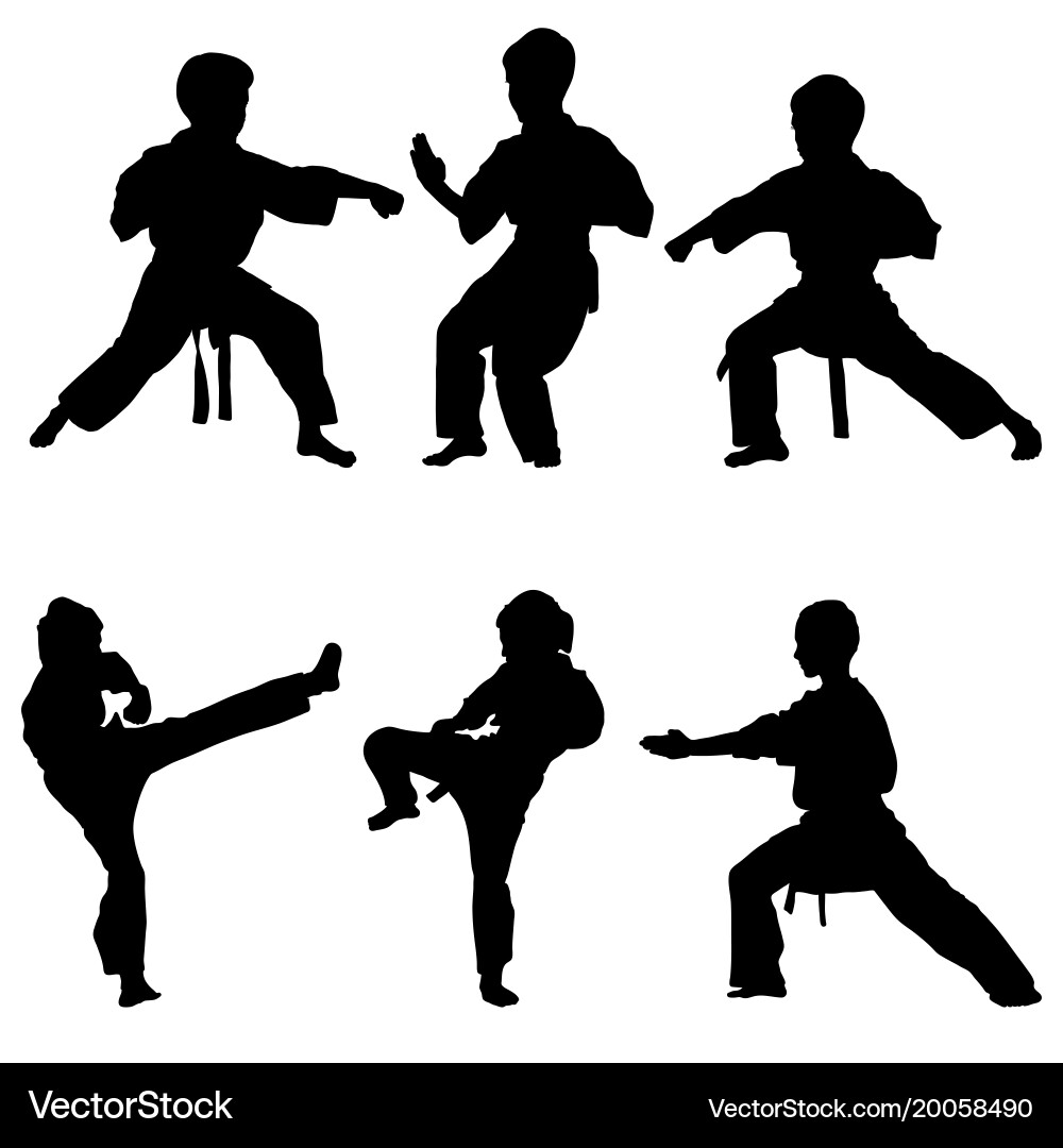 Karate Boy Silhouettes Vector Image