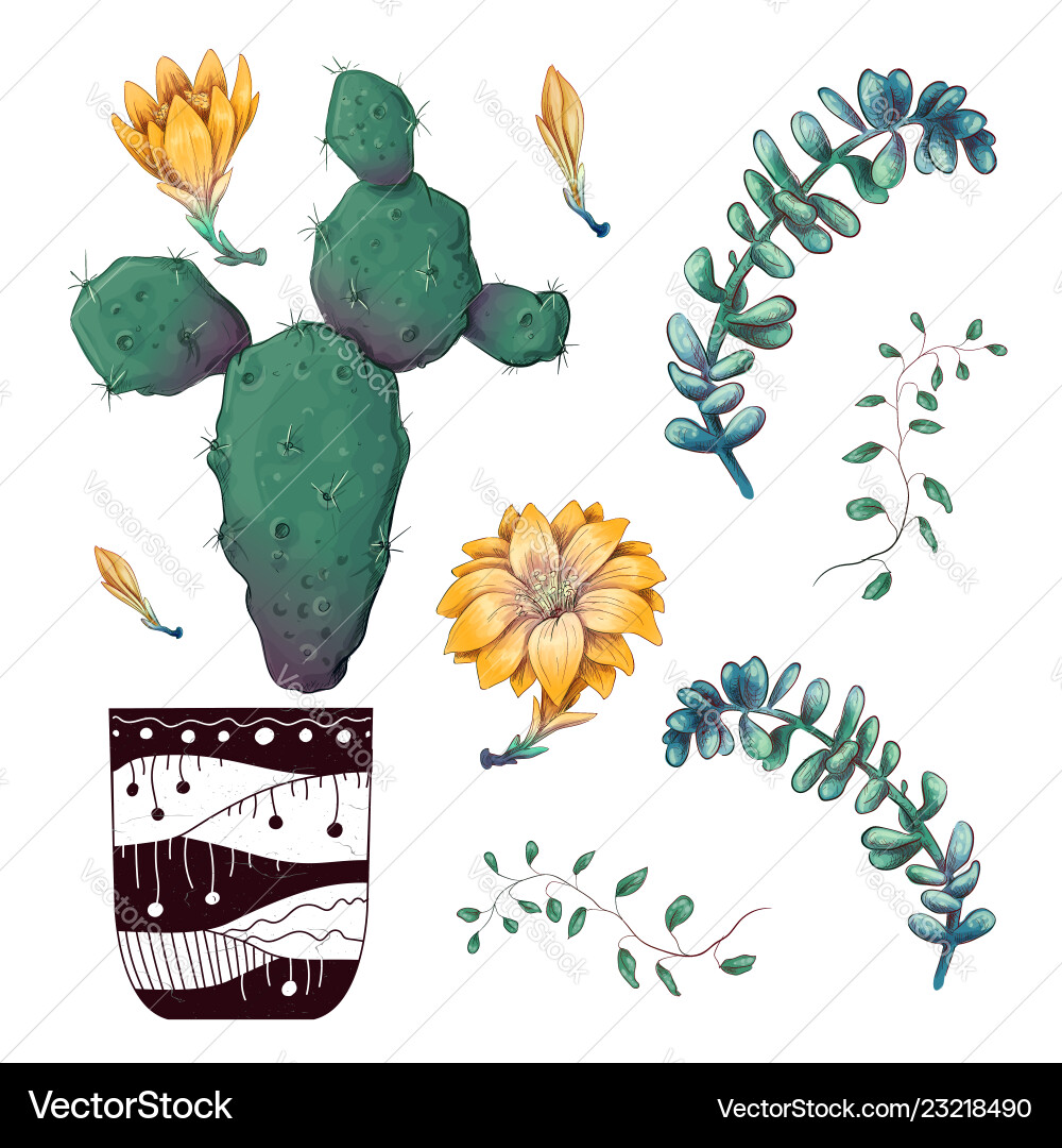 Potted cacti and succulents plants badge Potted cacti and succulents plants badge vector image