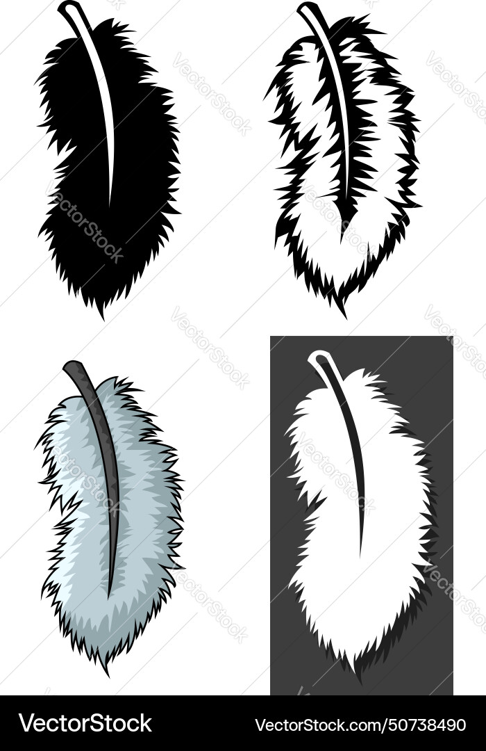 Set of feathers types with different concept Set of feathers types with different concept Vector Image