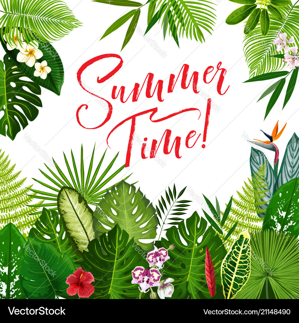 Tropical Summer Poster Vector Image