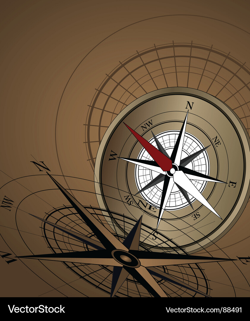 Compass gold Vector Image