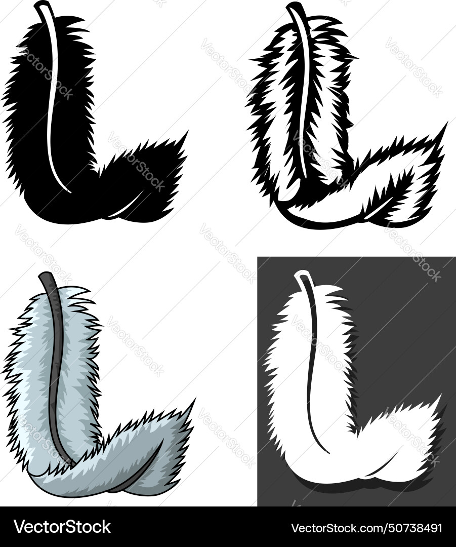 Set of feathers types with different concept Vector Image