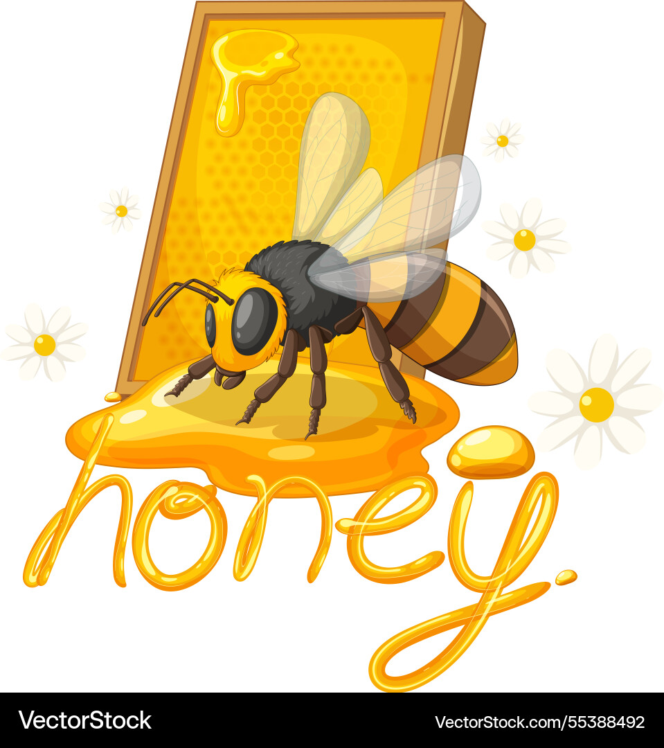 Eine Biene auf Honig mit Gänseblümchen um Eine Biene auf Honig mit Gänseblümchen um vektorbild