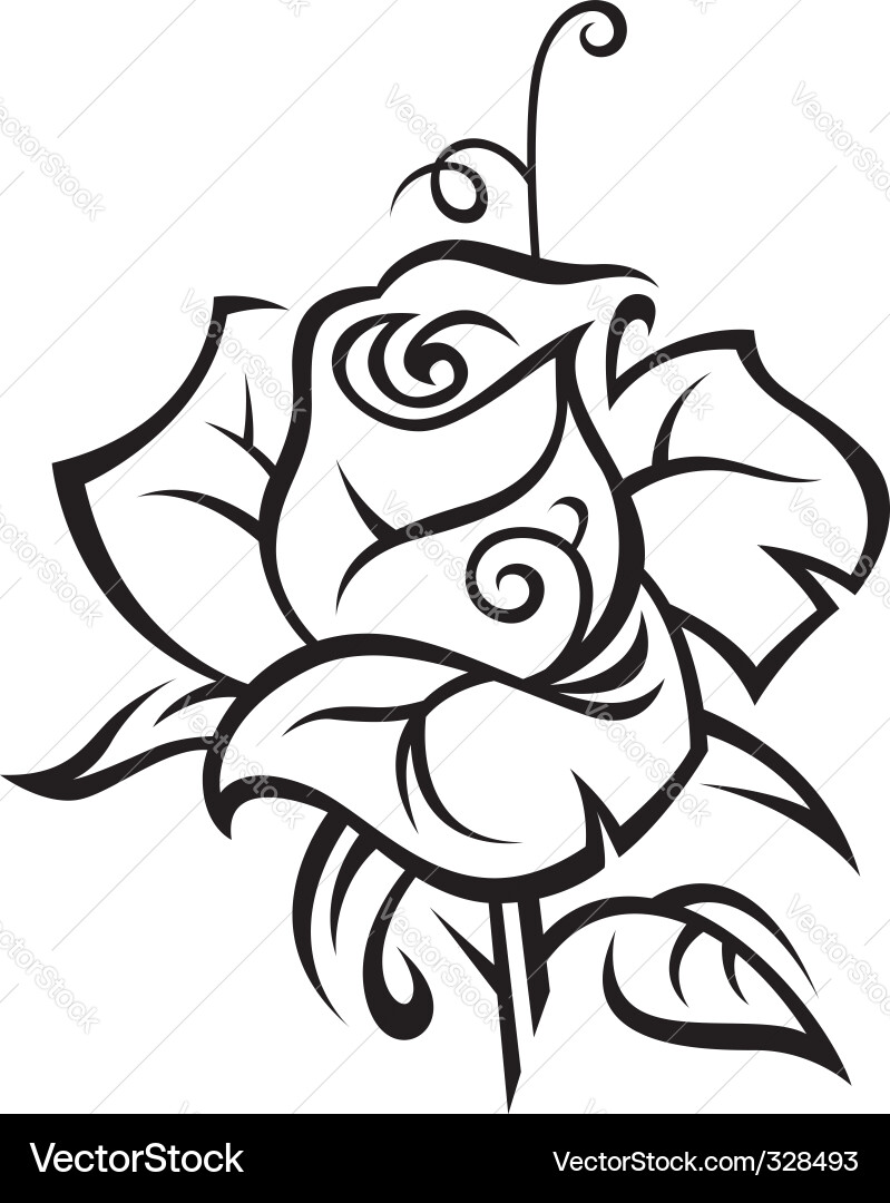 Rose Royalty Free Vector Image - VectorStock