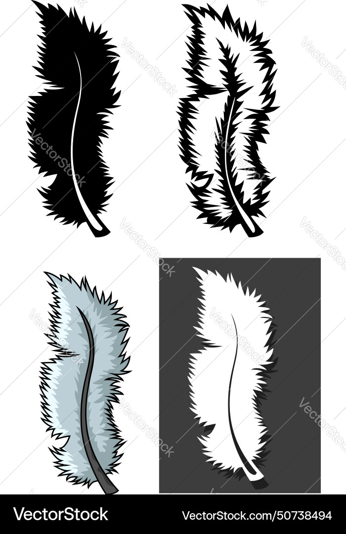 Set of feathers types with different concept Vector Image