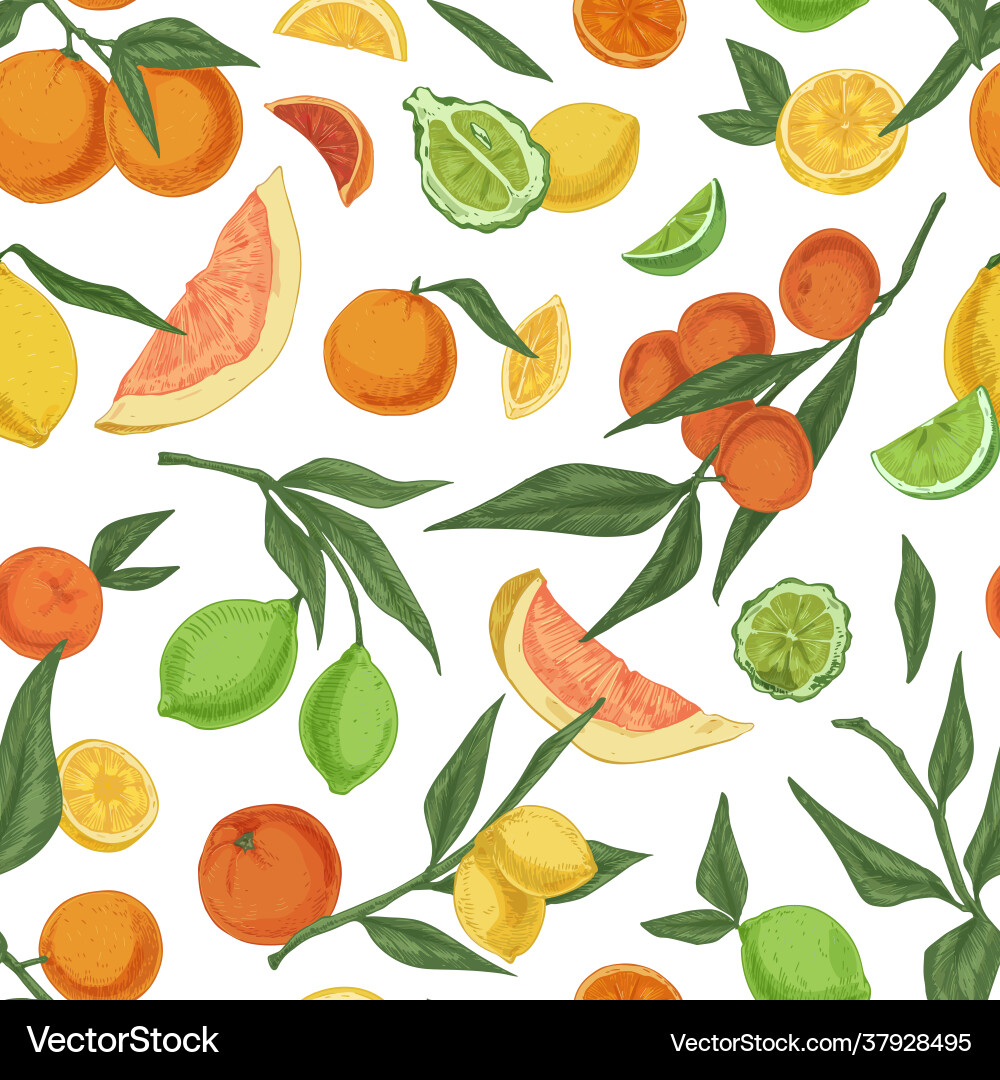 Seamless pattern with mix colorful citrus Seamless pattern with mix colorful citrus vector image