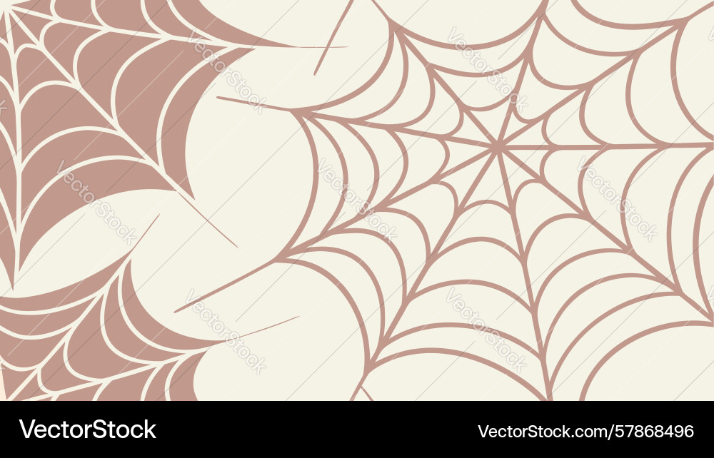 Seamless pattern of intricate spider web texture Vector Image