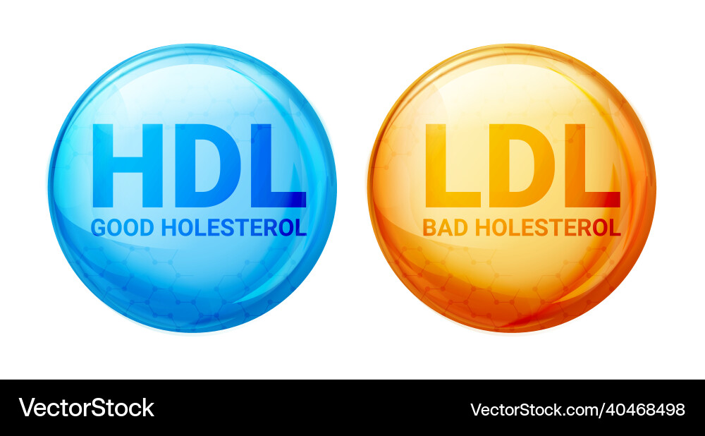 HDL vs LDL Cholesterol Icons Vector Image