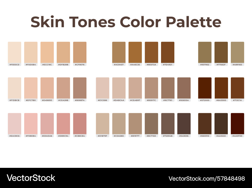 Skintones color palette set with hex code Skintones color palette set with hex code Vector Image