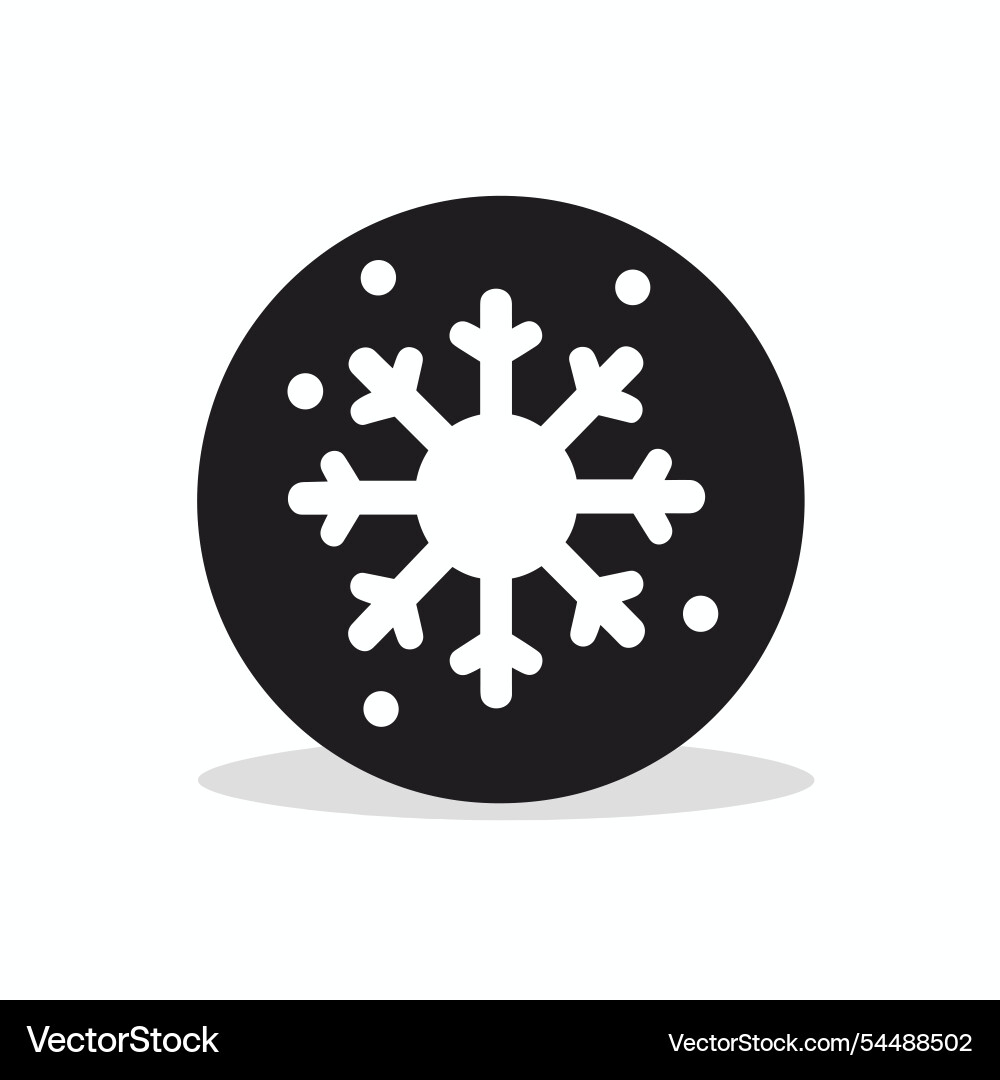 Snowflake icon on a simple background Vector Image