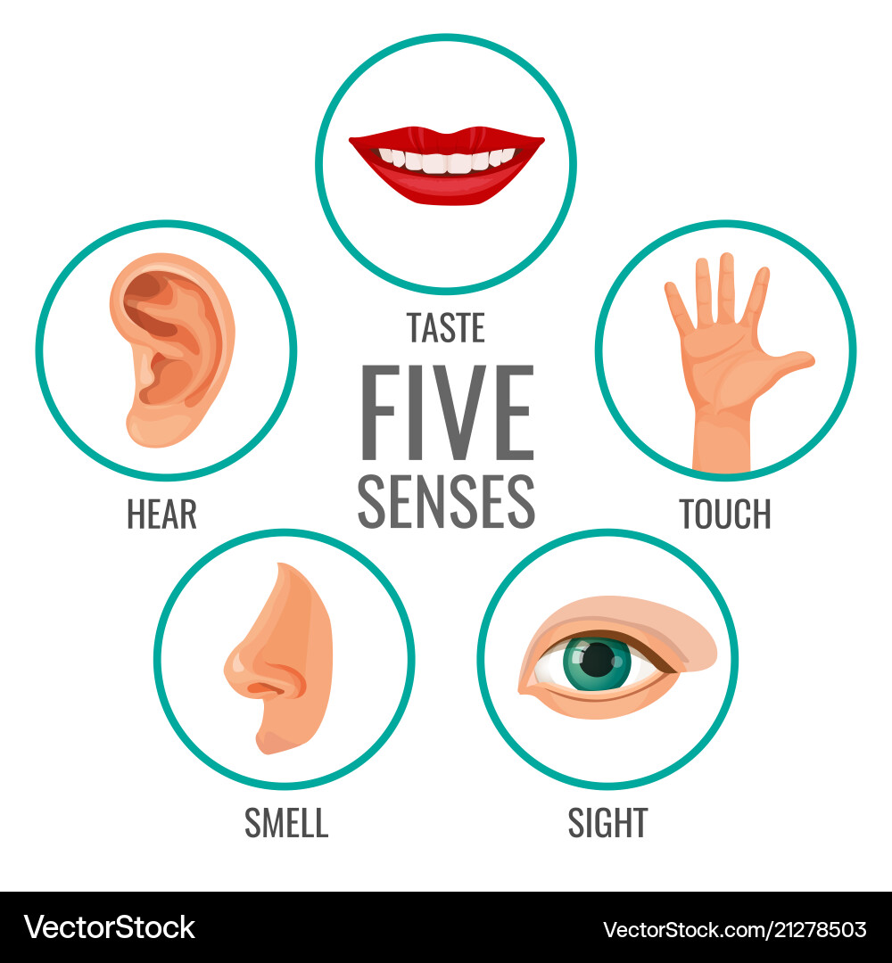 Five senses of human perception poster icons vector image