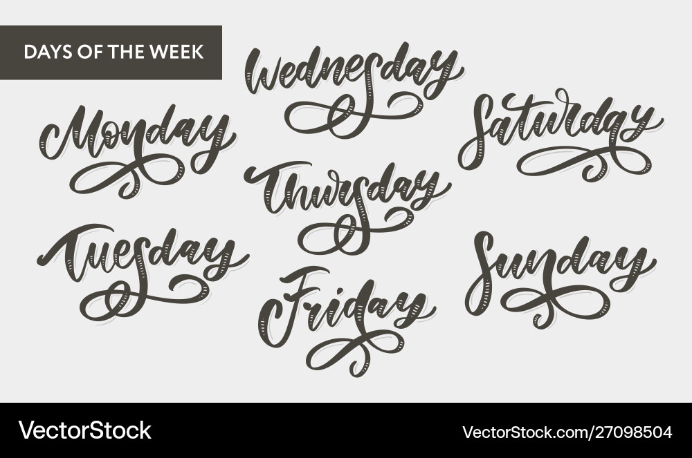 Handwritten week days and symbols set ink font Handwritten week days and symbols set ink font vector image
