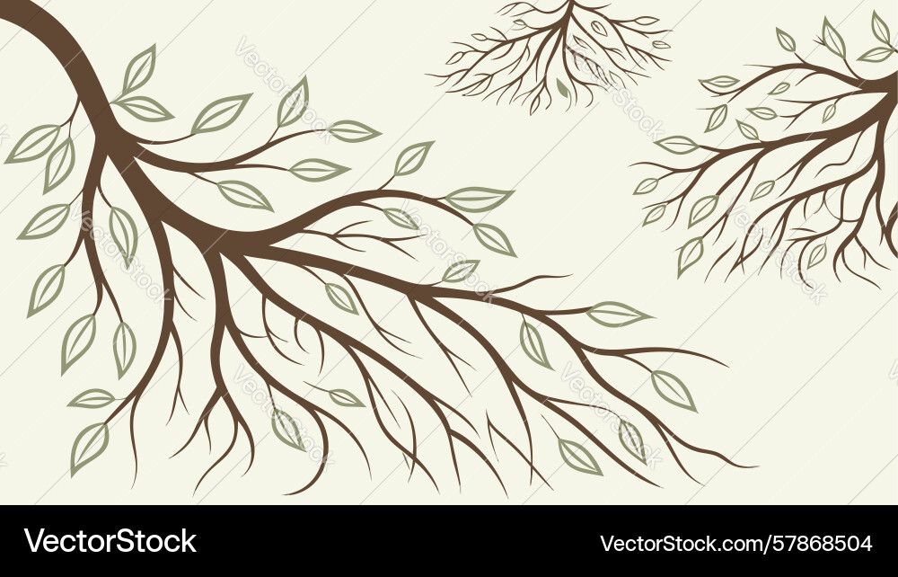 Intricate tree roots and branches nature pattern Vector Image
