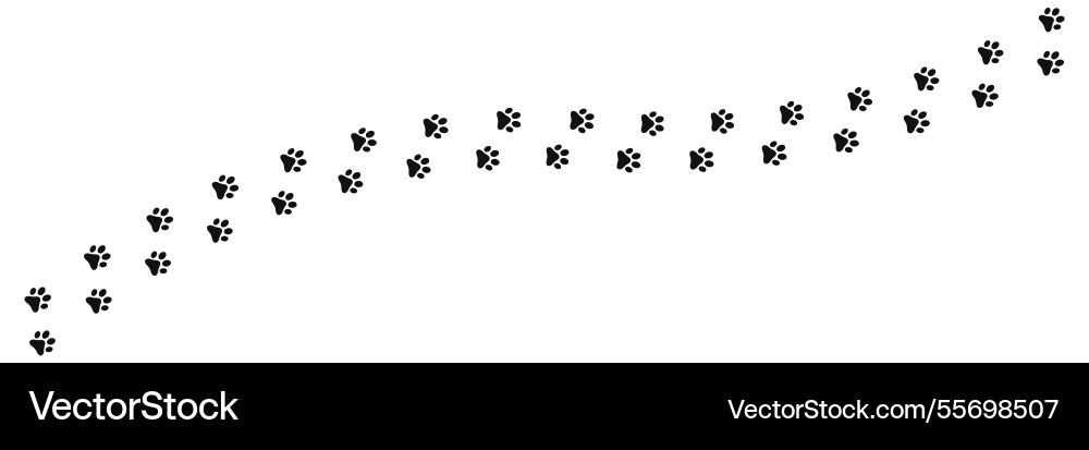 Dog and cat paw print on transparent background vector image