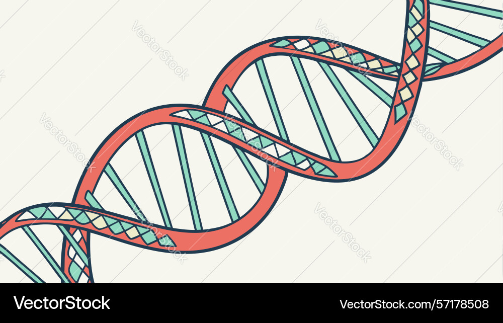 Dynamic dna helix genetic structure design vector image