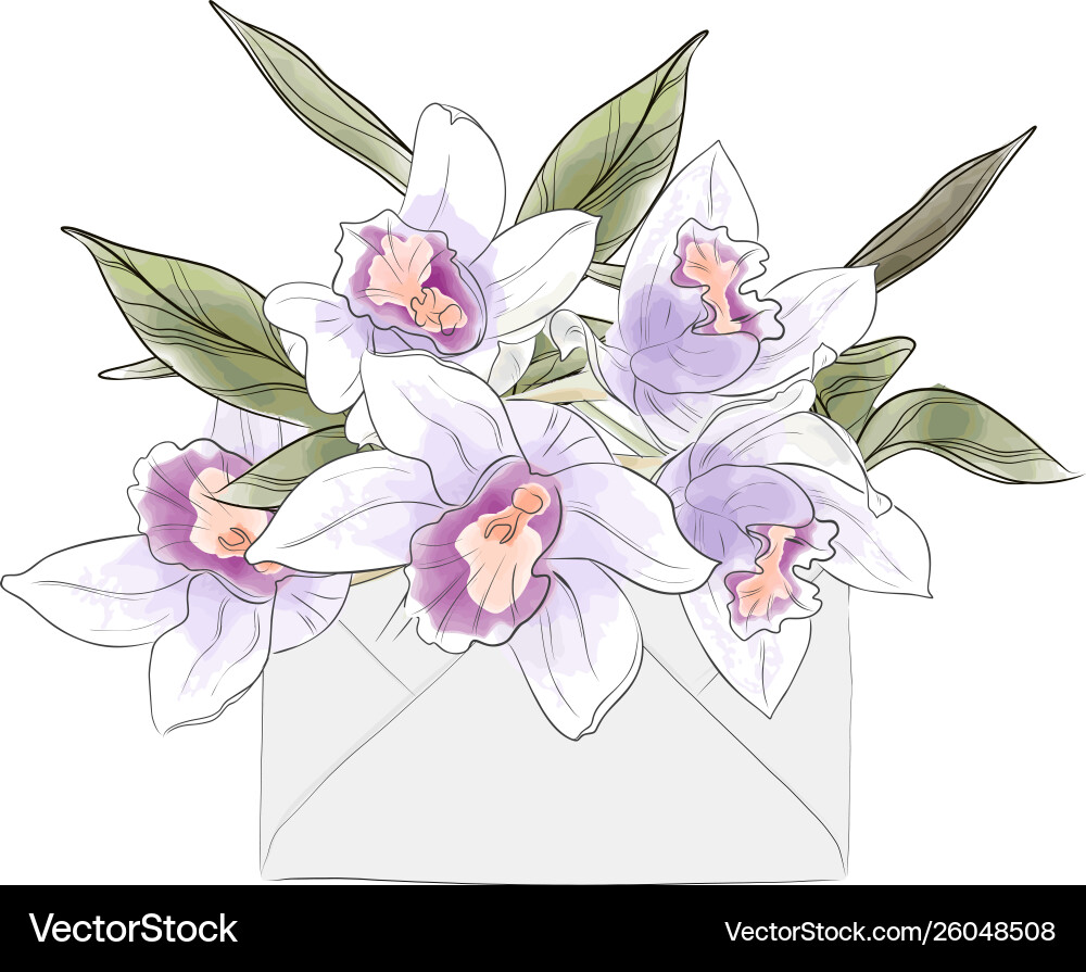 Wasserfarbe Orchideenbrief vektorbild
