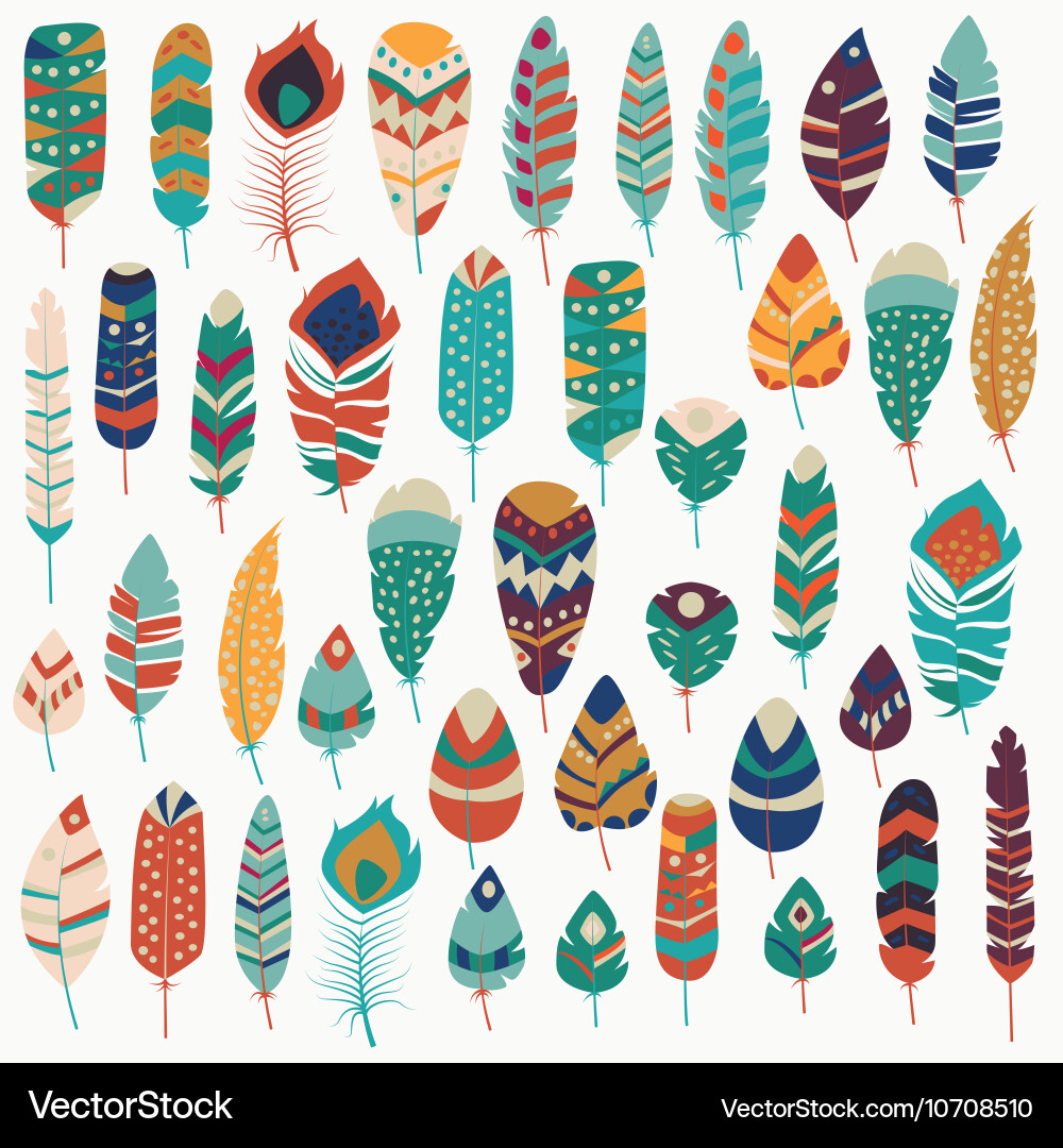Feathers 003 Royalty Free Vector Image - VectorStock