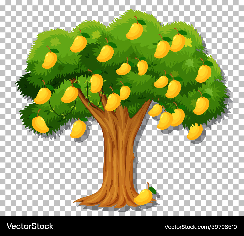 Mango tree on transparent background Mango tree on transparent background vector image