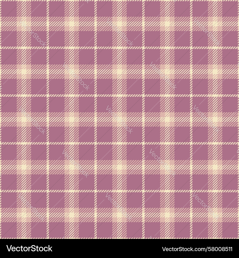 Elegant Check Pattern Fabric Vector Image