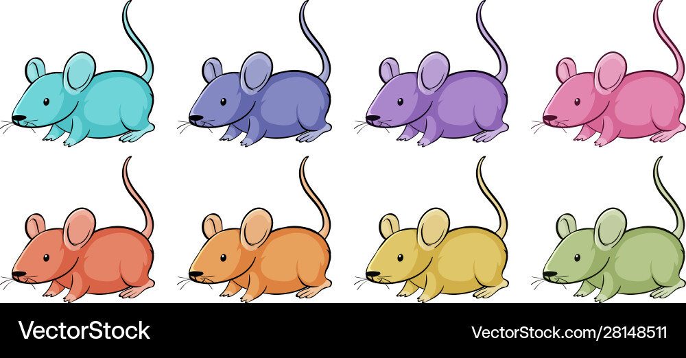 Isolated set mouse in many color Isolated set mouse in many color vector image