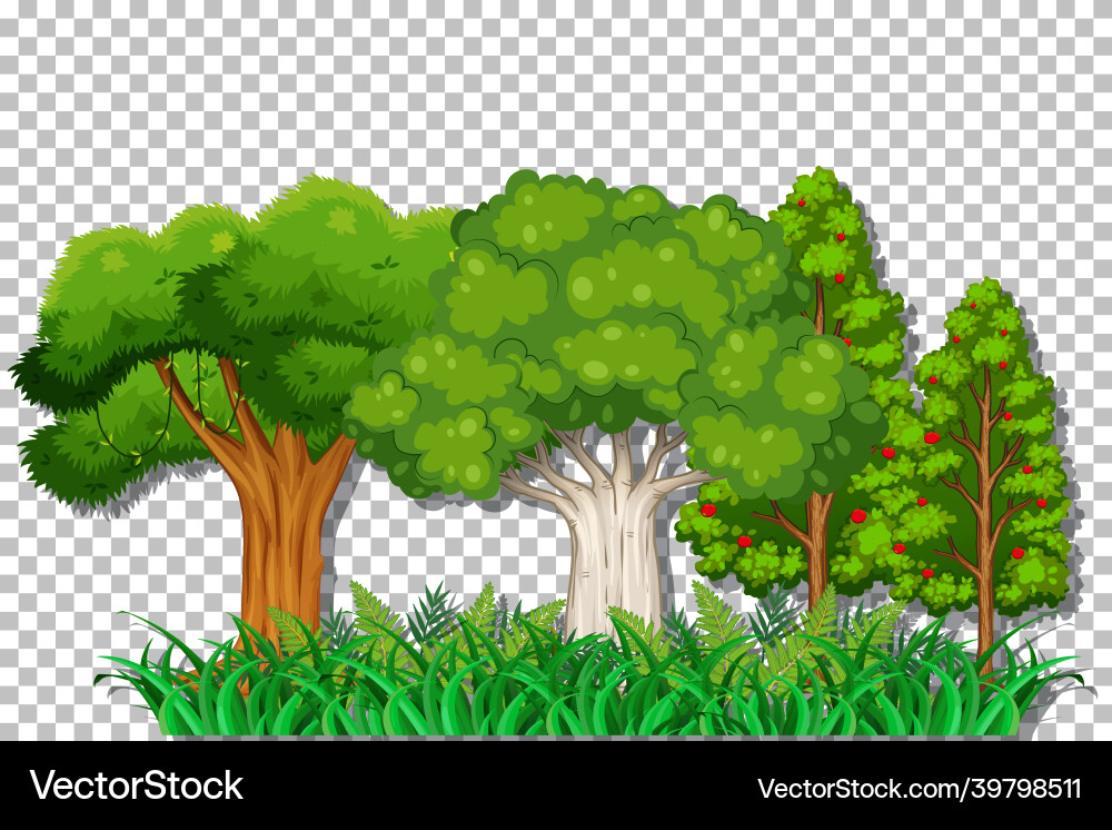 Tree on transparent background Tree on transparent background vector image