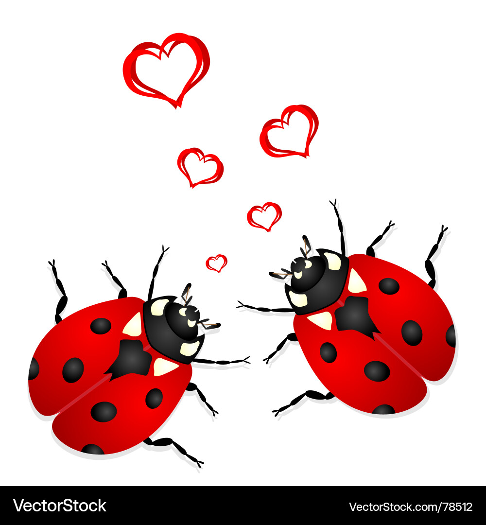 Cute Ladybugs Romance vector image