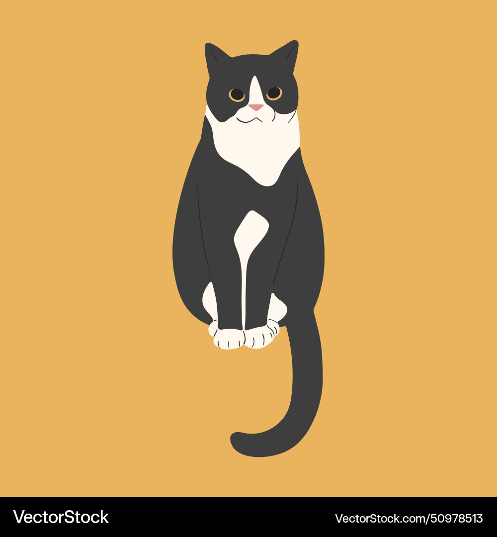 Cat no117 Royalty Free Vector Image - VectorStock