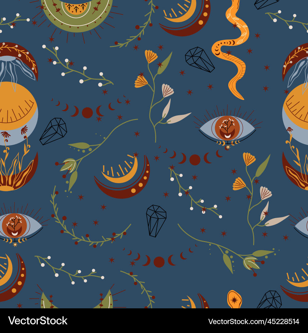 Celestial Moon Pattern vector image