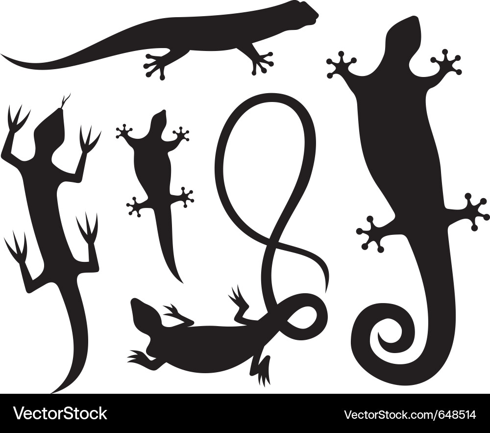Lizard Silhouettes Collection Vector Image