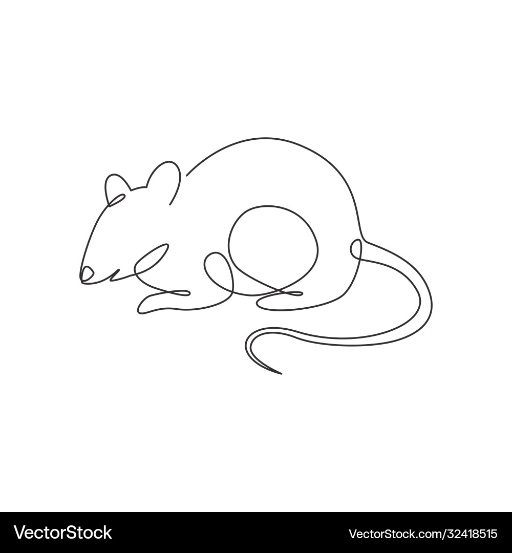 Continuous Line Mouse Drawing vector image