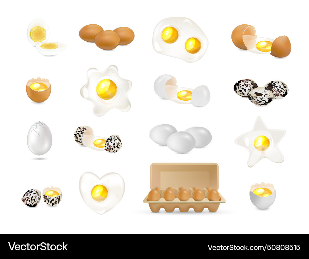 Eggs realistic set Royalty Free Vector Image - VectorStock