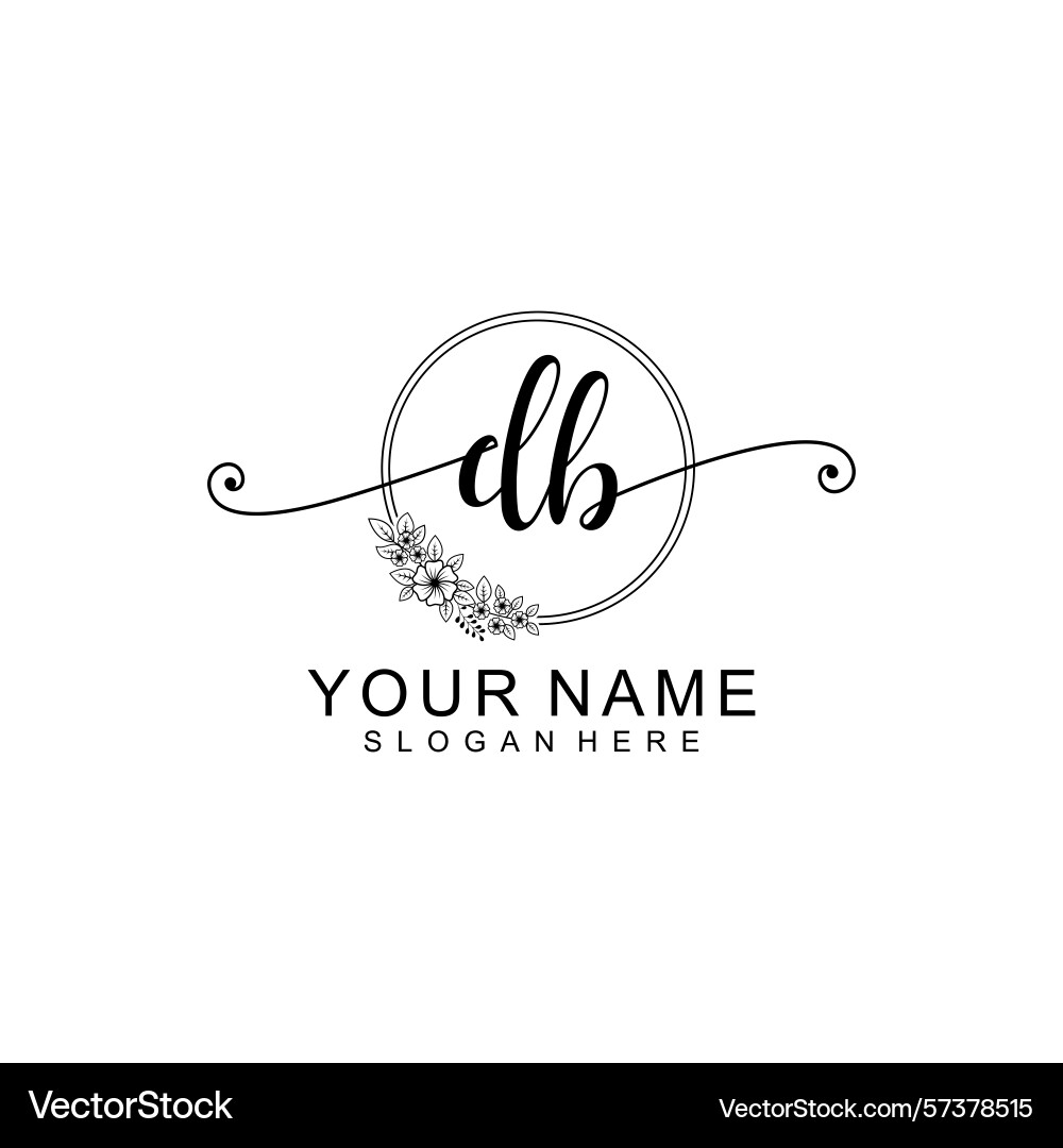 Minimalist handwritten db initial logos Minimalist handwritten db initial logos vector image