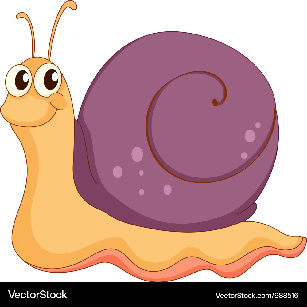 Cartoon snail Royalty Free Vector Image VectorStock