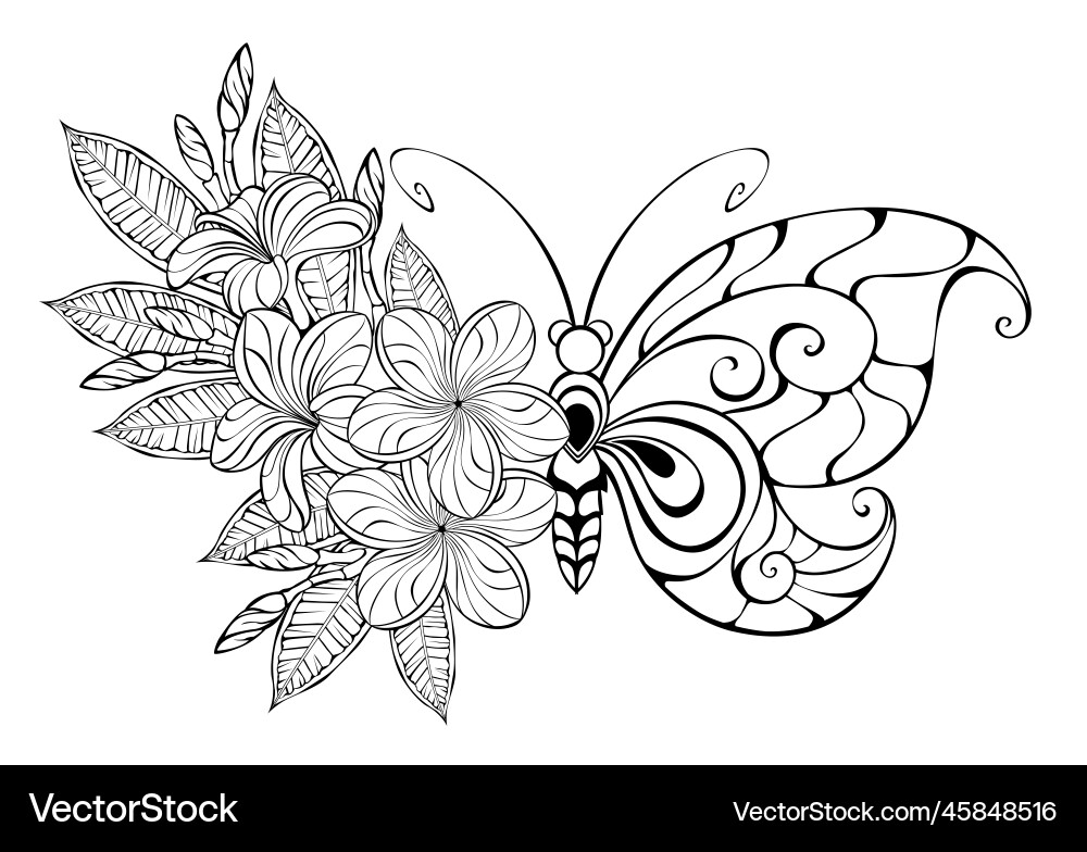 Floral Butterfly with Plumeria Vector Image