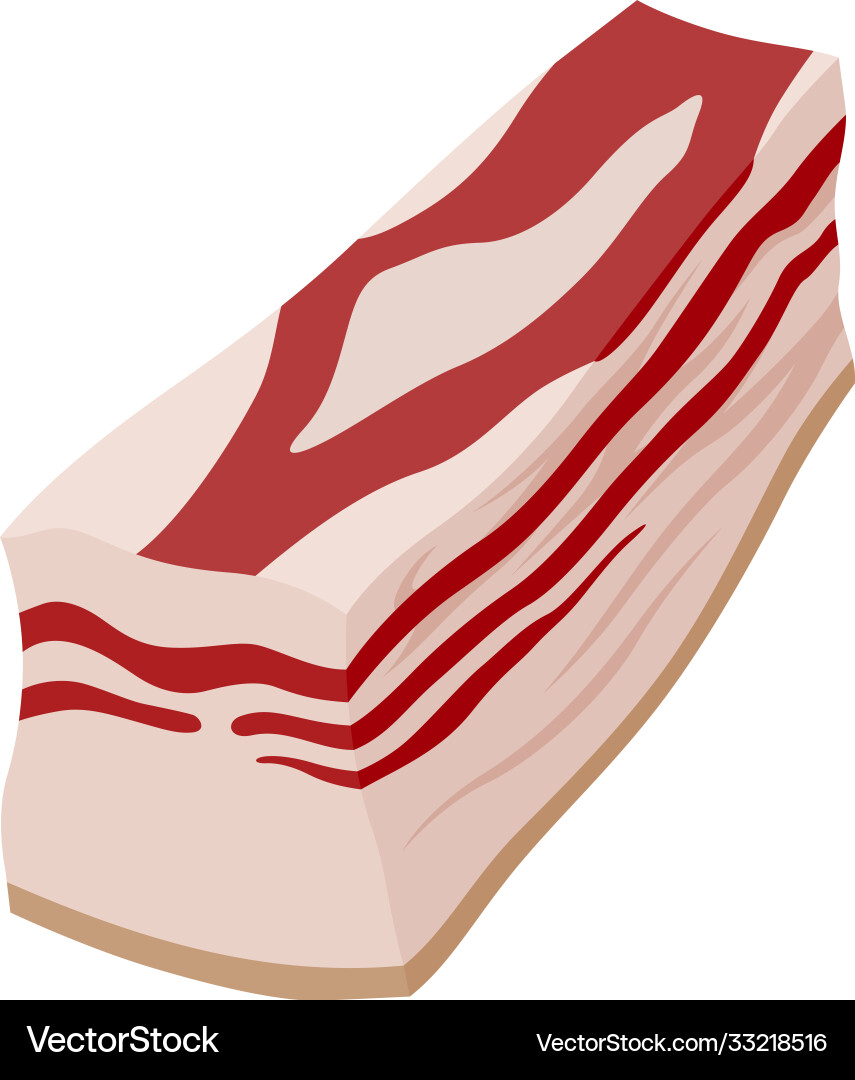 Salty bacon delicious meat for snack and cooking Salty bacon delicious meat for snack and cooking vector image