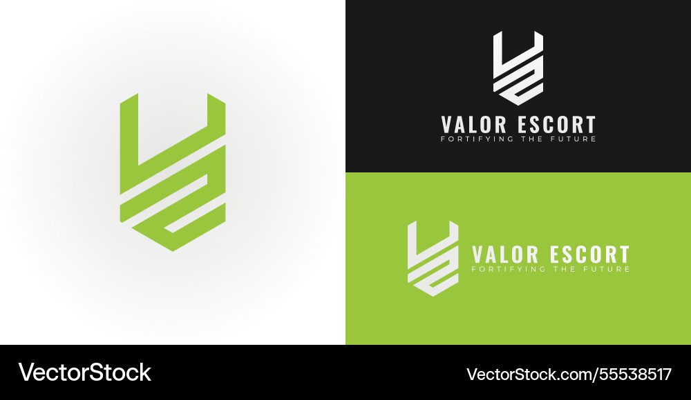 Dynamic logo design features the initials ve Dynamic logo design features the initials ve Vector Image