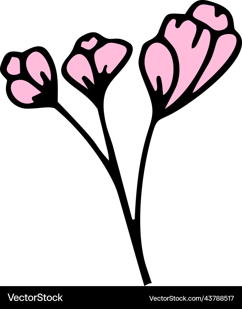 Flower doodle Royalty Free Vector Image - VectorStock