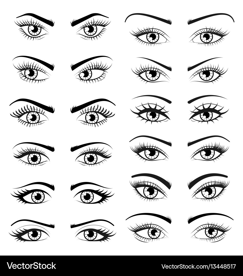 Set open beautiful female eyes isolated on white Set open beautiful female eyes isolated on white vector image