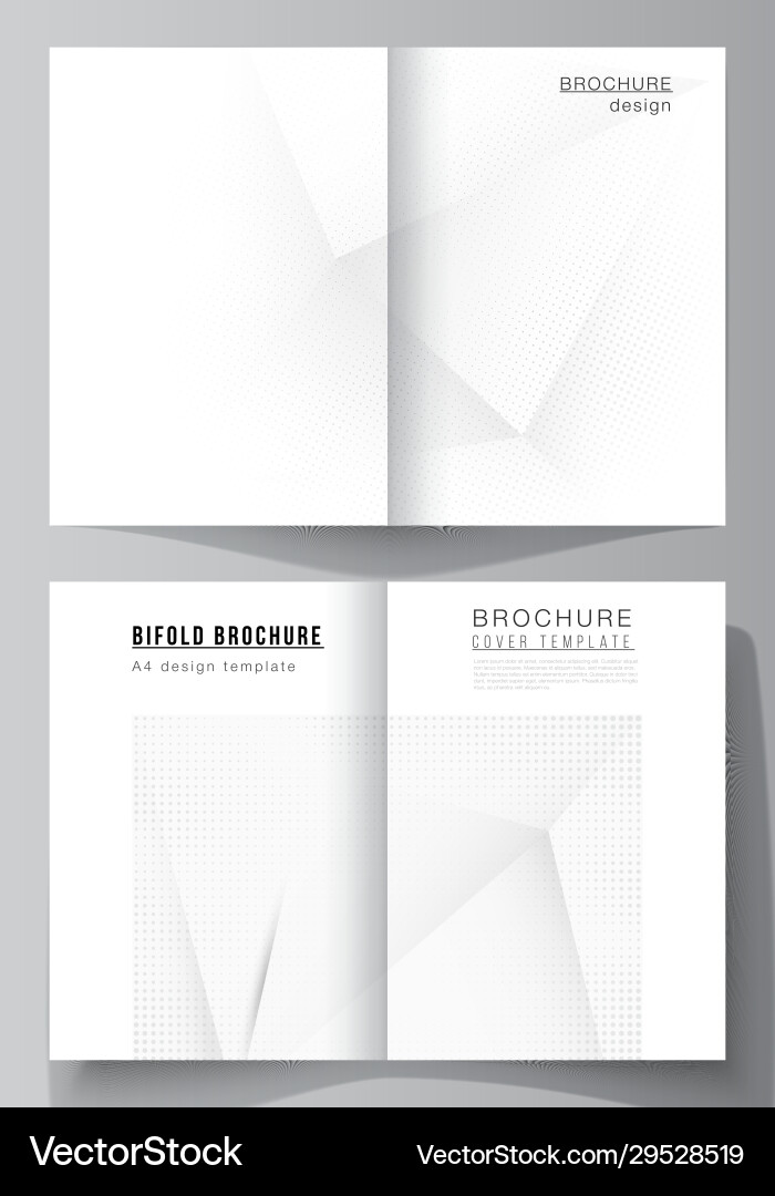 Layout two a4 cover mockups design Layout two a4 cover mockups design vector image