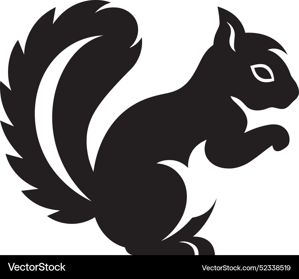 Mesmerizing squirrel sketch noir form Vector Image