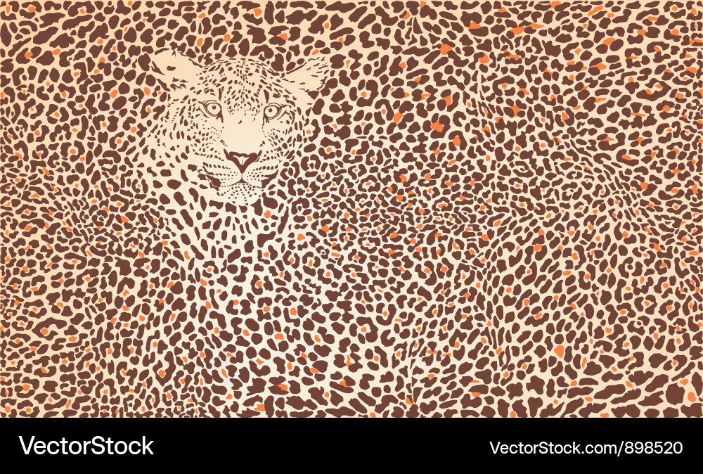 Leopard Print Background vector image
